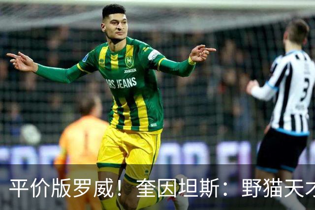 平价版罗威！奎因坦斯：野猫天才内线 存伤病隐患 罚球致敬米切罗